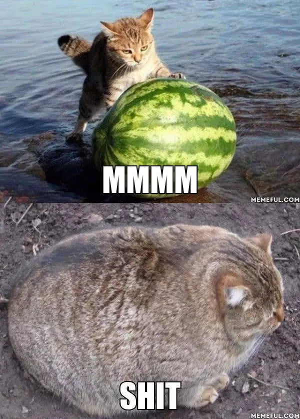 Picdump 96 - #59 