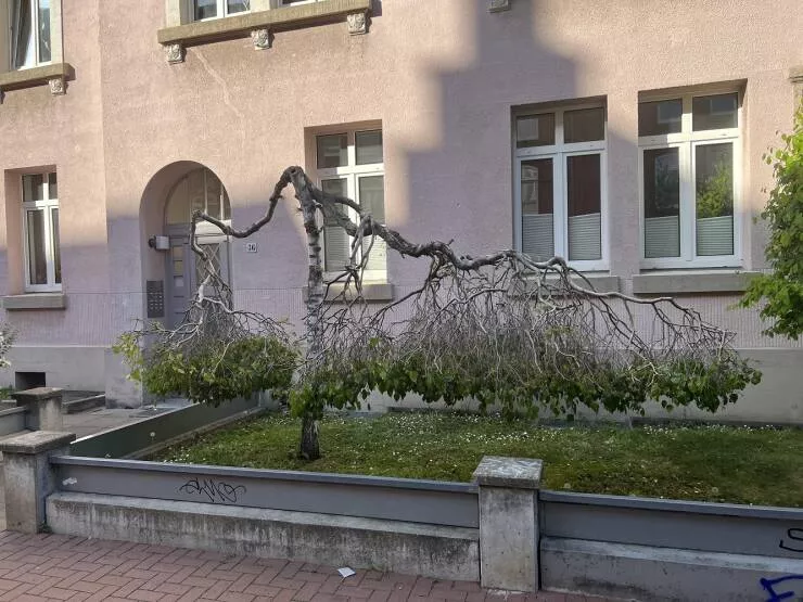 Picdump 634 - #38 