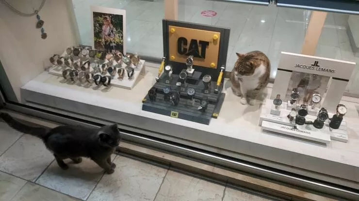 Picdump 635 - #20 