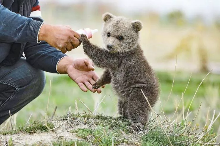 Picdump 635 - #34 