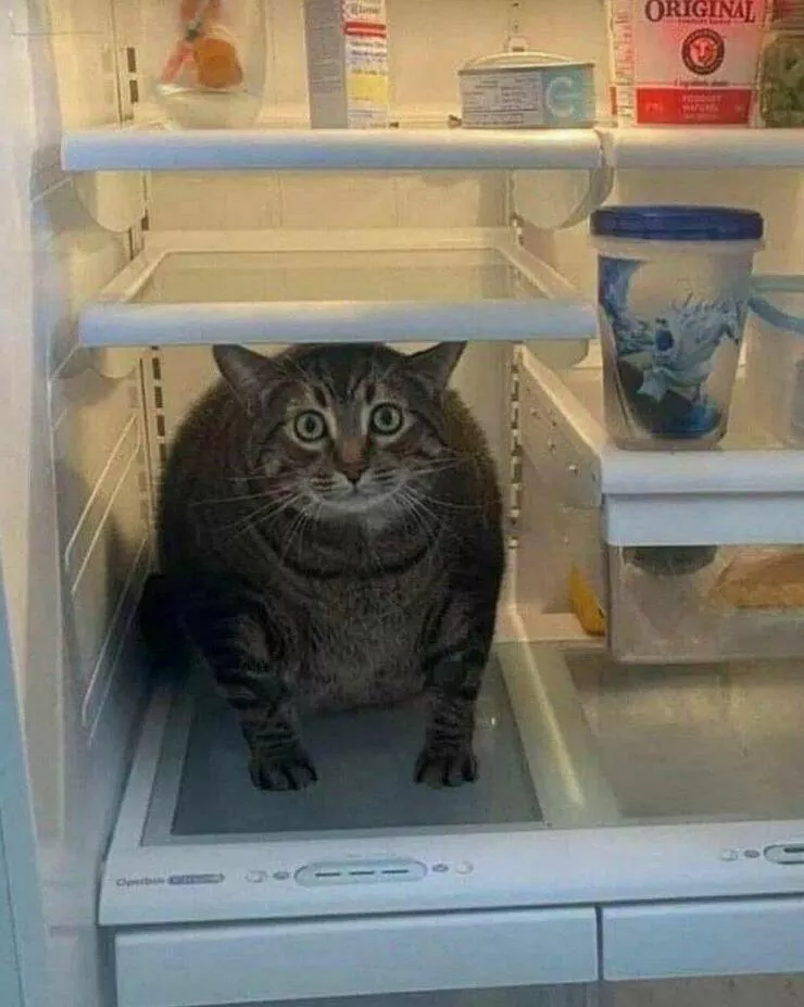 Picdump 636 - #13 