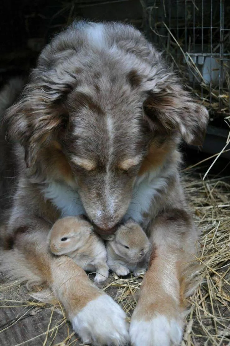 Picdump 636 - #20 