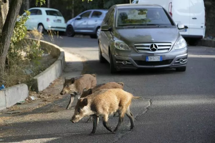 Picdump 636 - #55 
