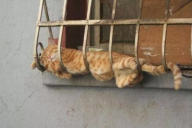 Picdump 11 - #12 