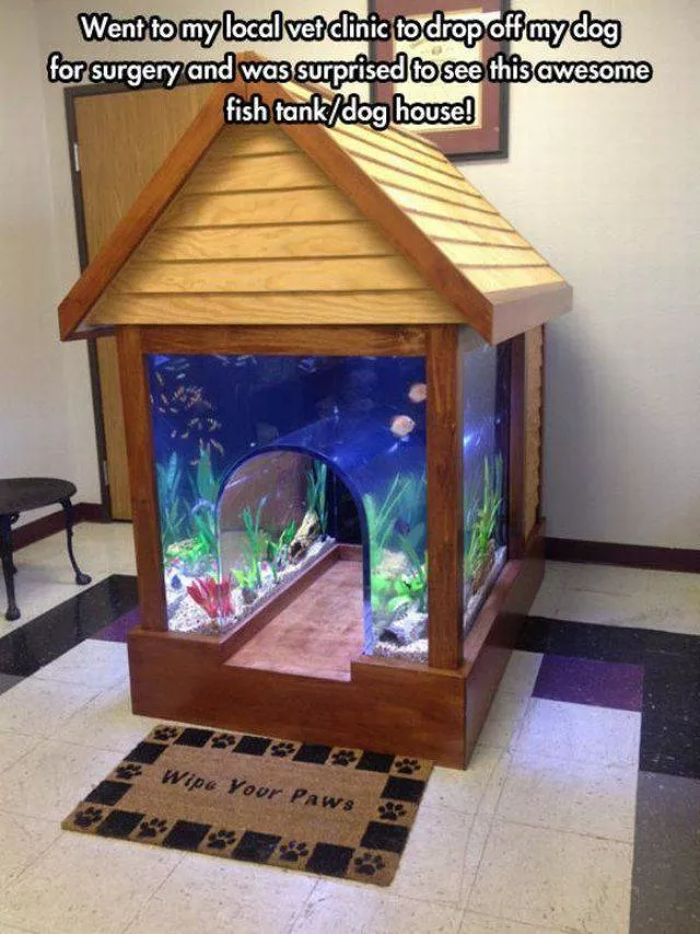 Picdump 11 - #13 