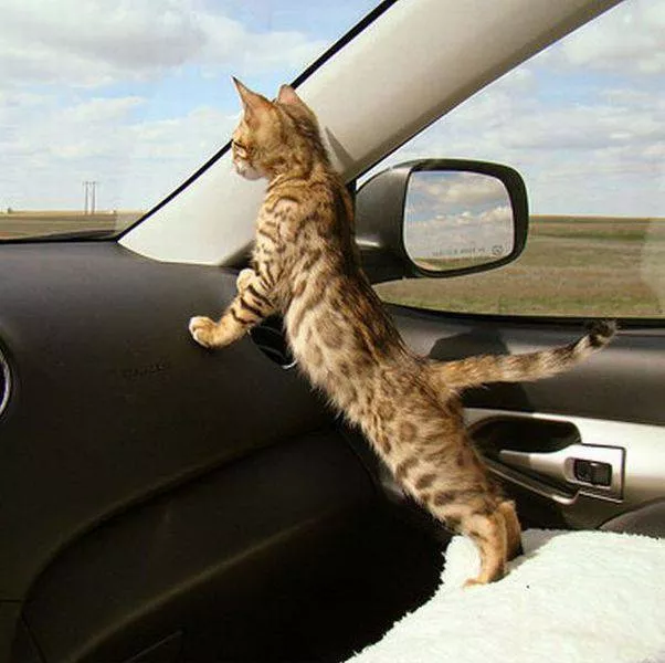 Picdump 11 - #49 