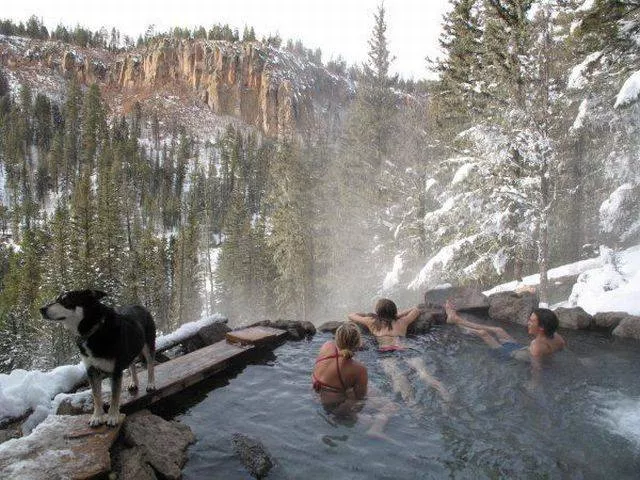 Picdump 11 - #82 