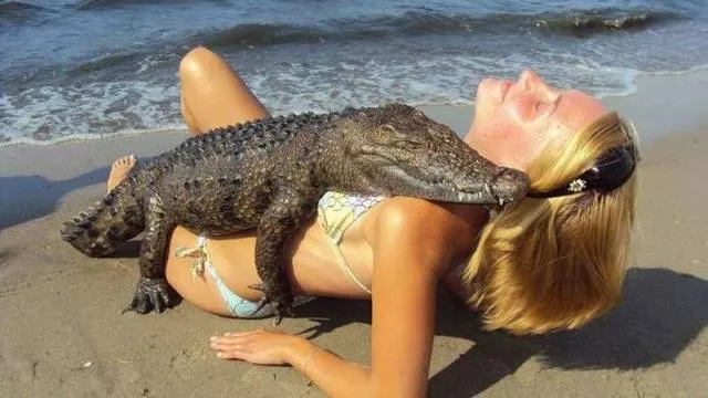 Picdump 97 - #20 