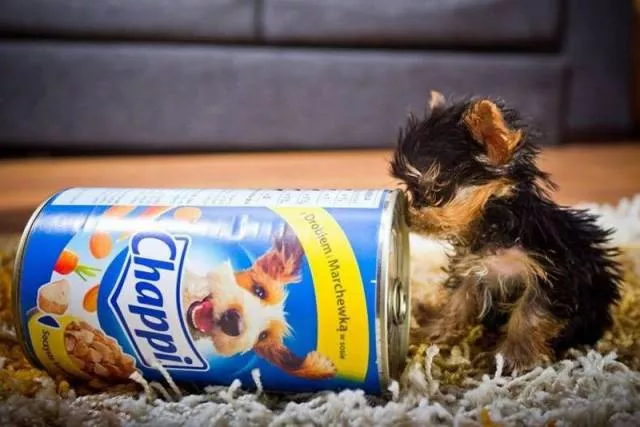 Picdump 97 - #48 