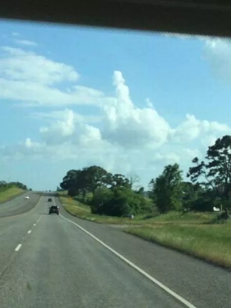 Picdump 97 - #49 