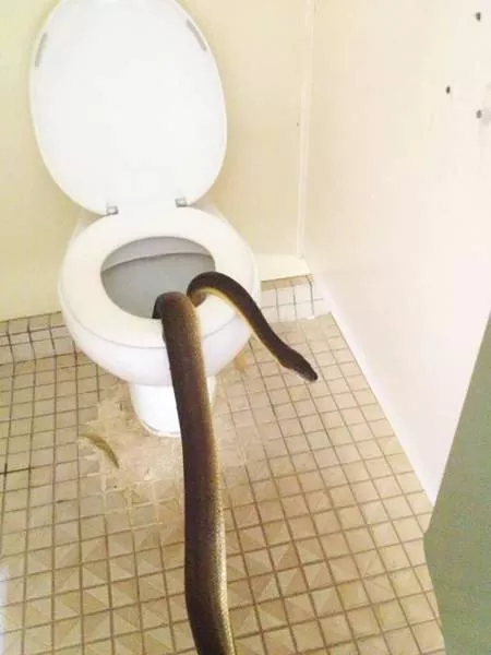 Picdump 97 - #7 
