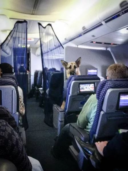 Picdump 97 - #9 