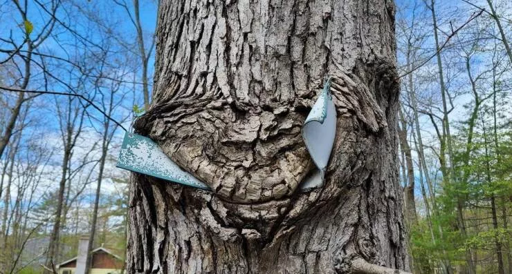 Picdump 638 - #16 