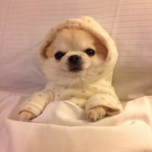 Picdump 638 - #35 