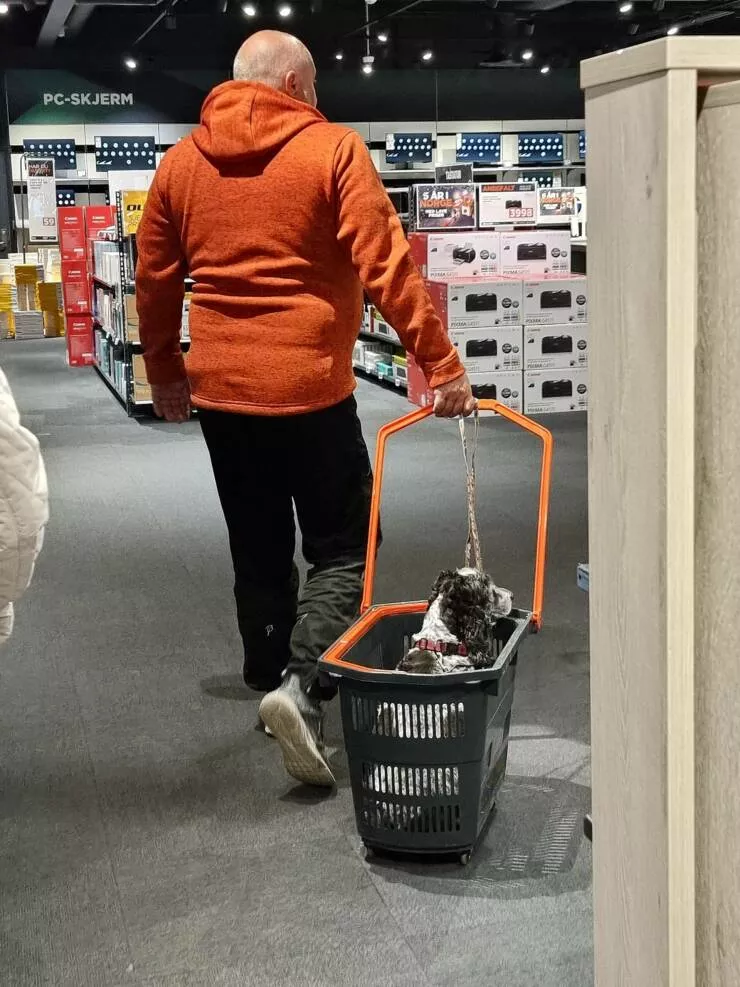 Picdump 638 - #39 