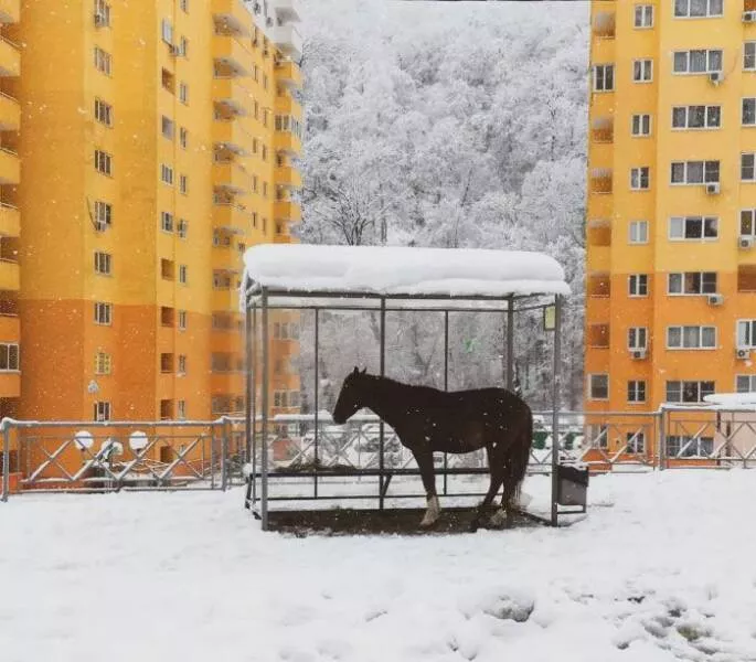 Picdump 638 - #51 