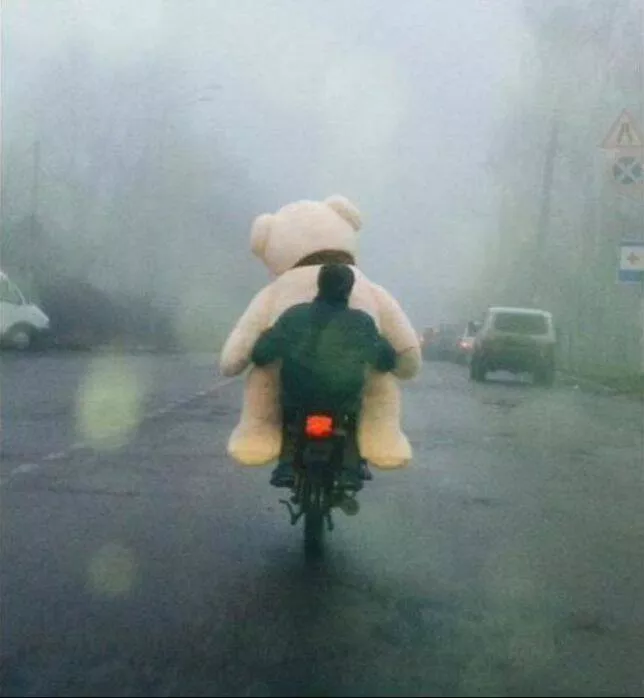 Picdump 638 - #59 