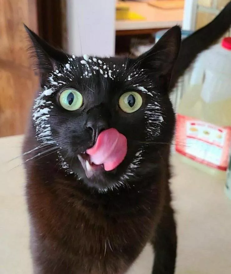 Picdump 638 - #8 
