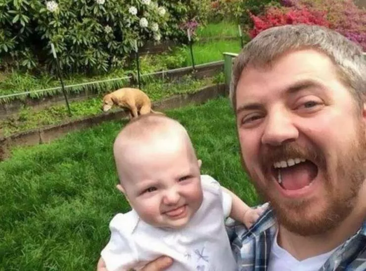 Picdump 639 - #12 