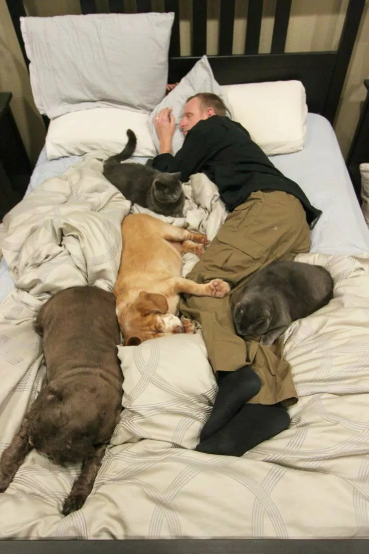 Picdump 639