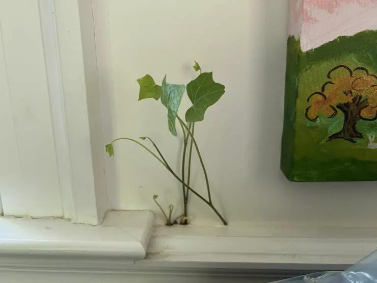 Picdump 639 - #25 