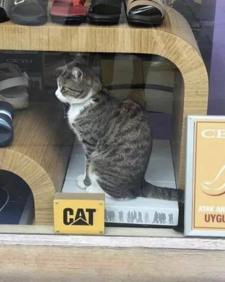 Picdump 639 - #26 