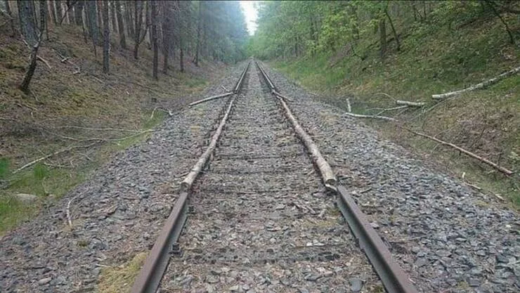 Picdump 639 - #28 
