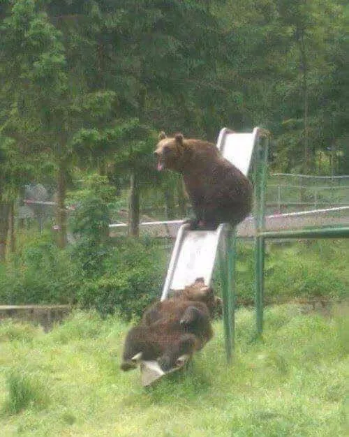 Picdump 640 - #4 