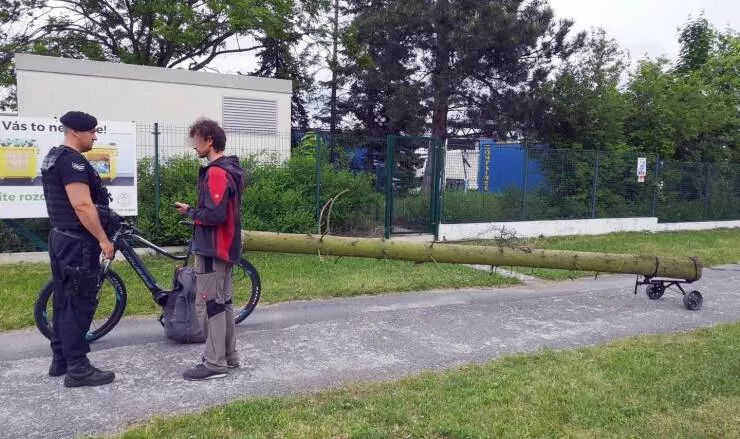 Picdump 641 - #3 