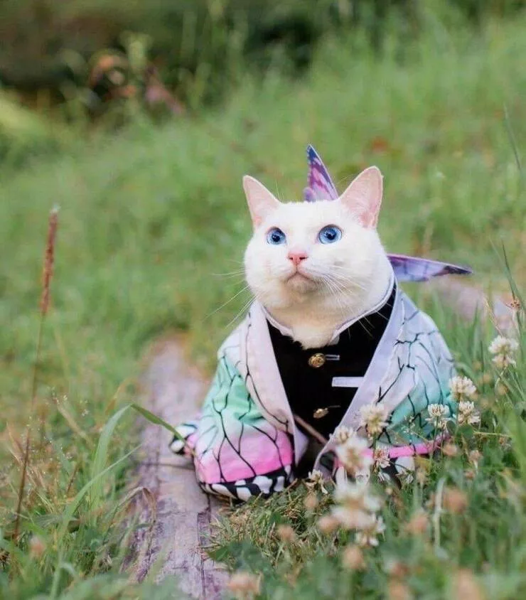 Picdump 641 - #45 