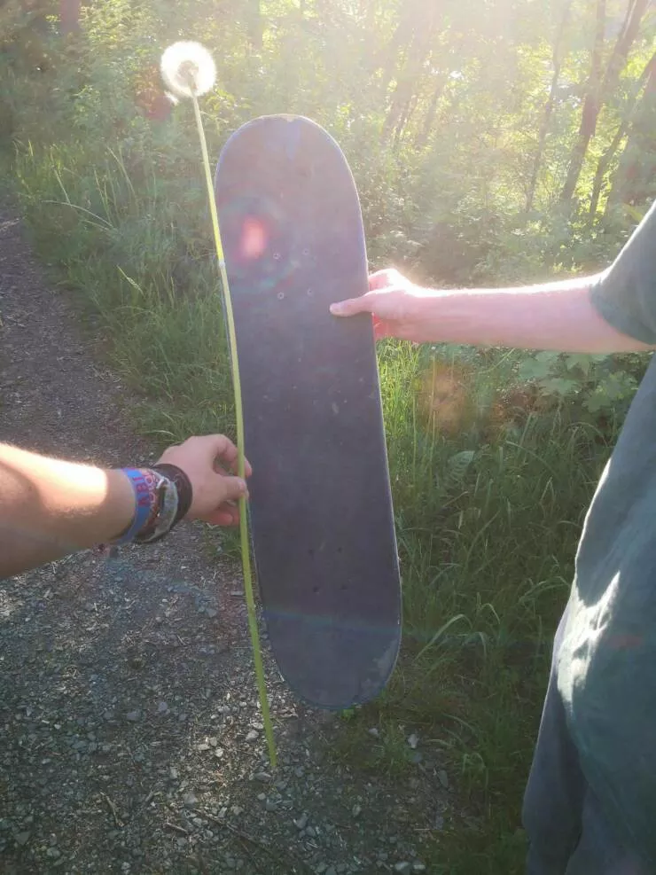Picdump 641 - #57 