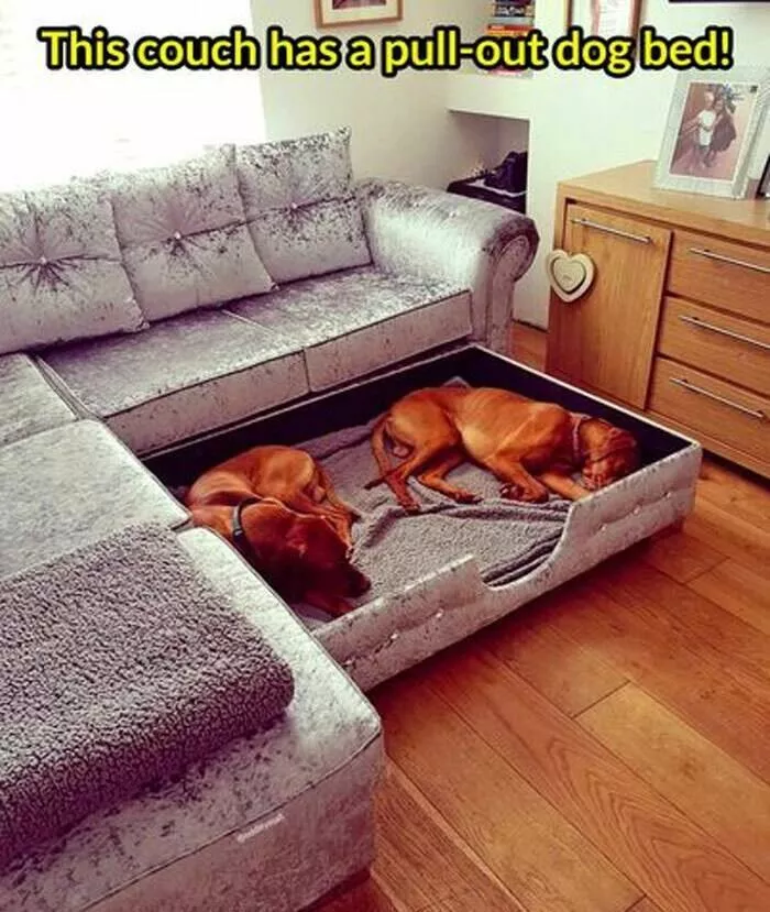 Des objets insolites du quotidien - #12 