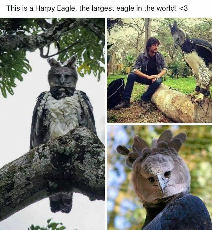 Terrifying moments caught in pictures - #4 