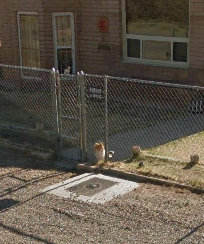 Picdump 642 - #17 