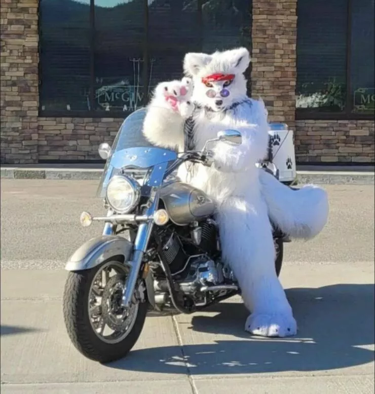 Picdump 642 - #34 