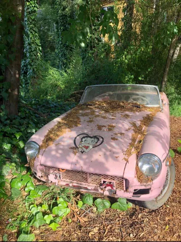 Abandoned places - #8 