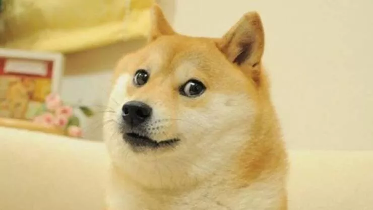 Transformation des visages des memes internet populaires - #29 