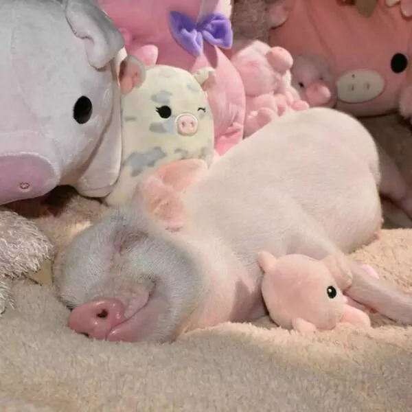 Picdump 644 - #15 