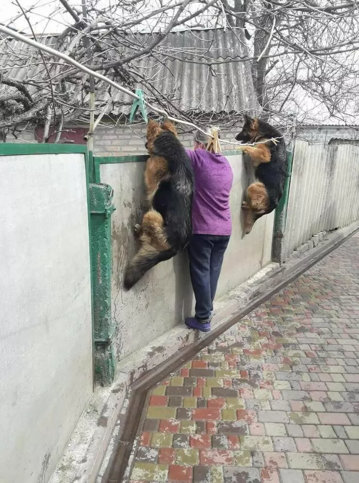 Picdump 644 - #19 