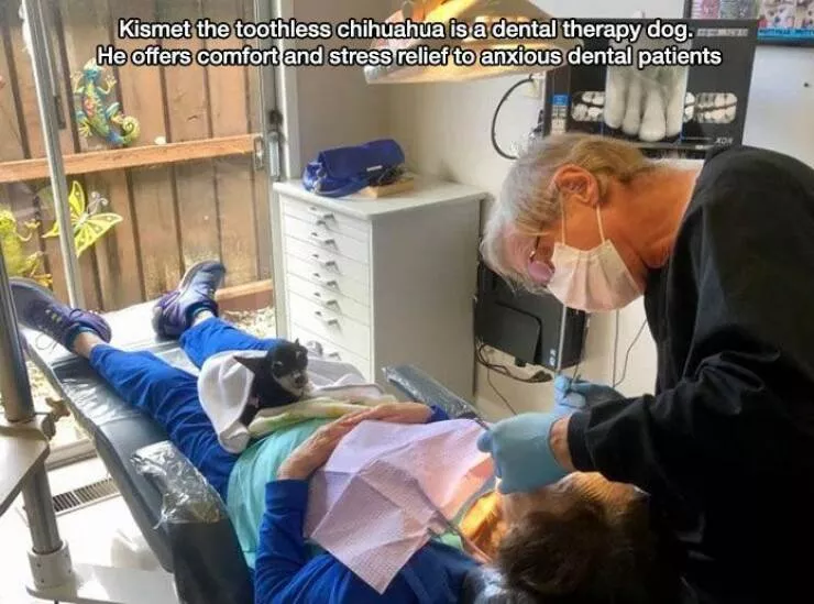 Picdump 644 - #20 