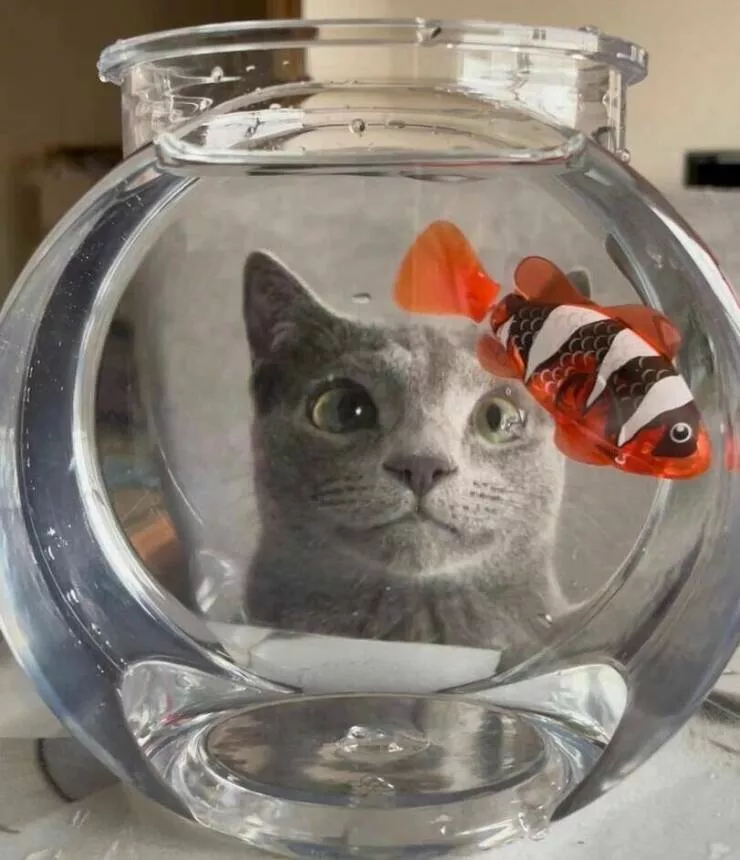 Picdump 644 - #59 