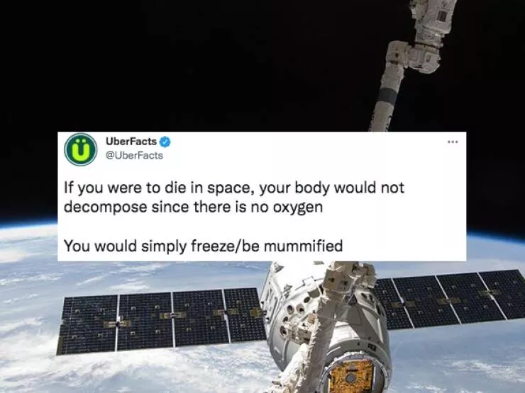 Crazy facts - #1 