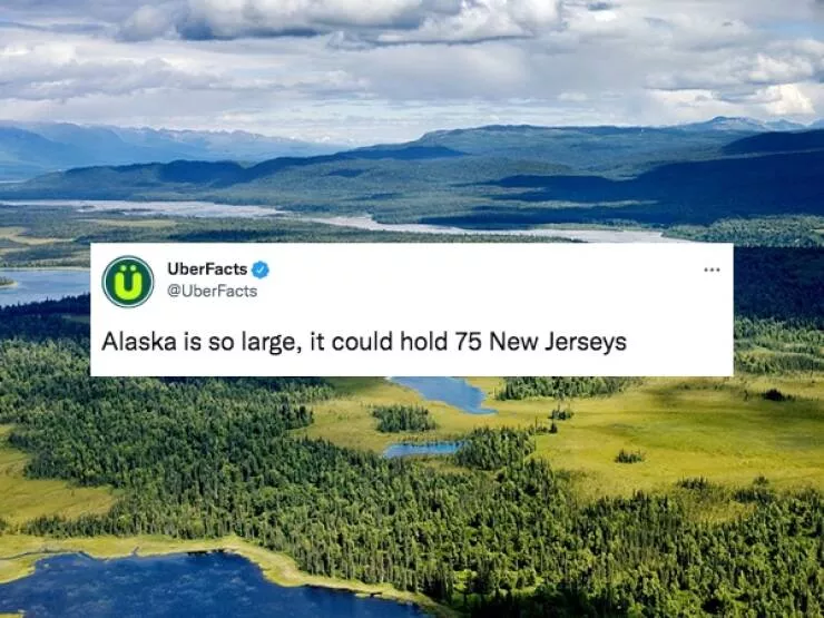 Crazy facts - #15 