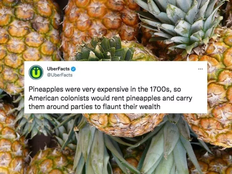 Crazy facts