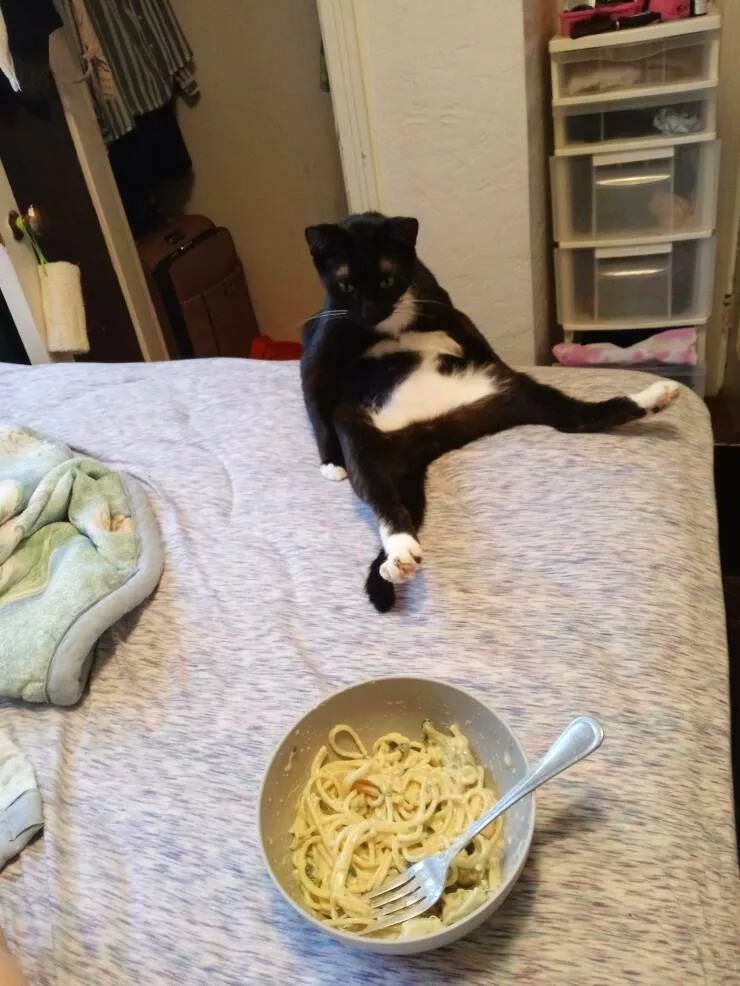 Picdump 645 - #37 