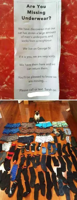 Picdump 645 - #42 