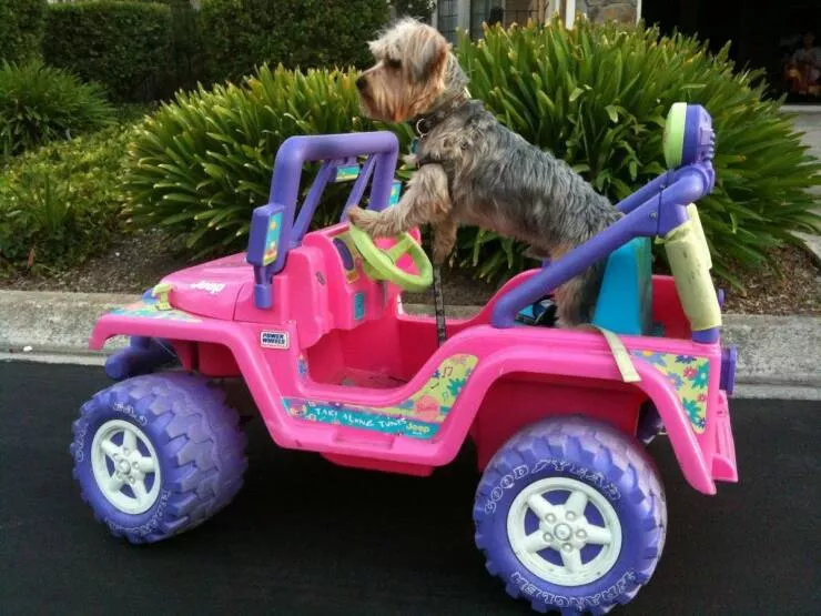 Picdump 646 - #31 