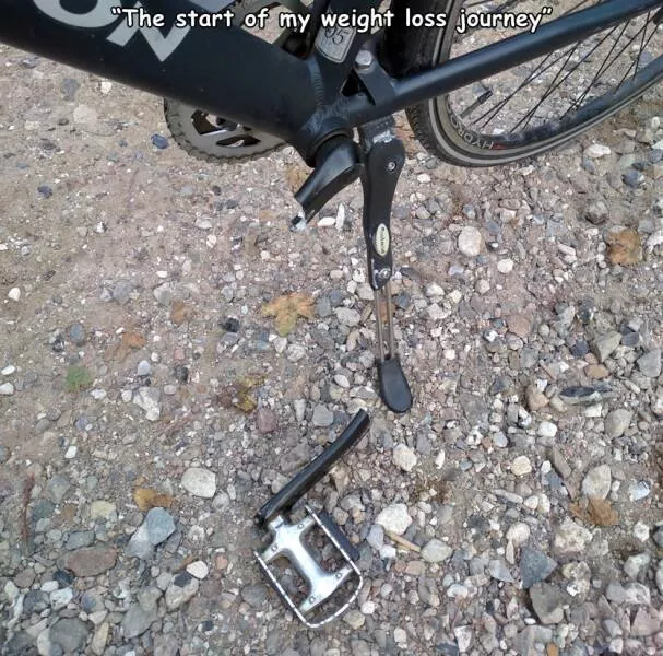 Picdump 646 - #36 