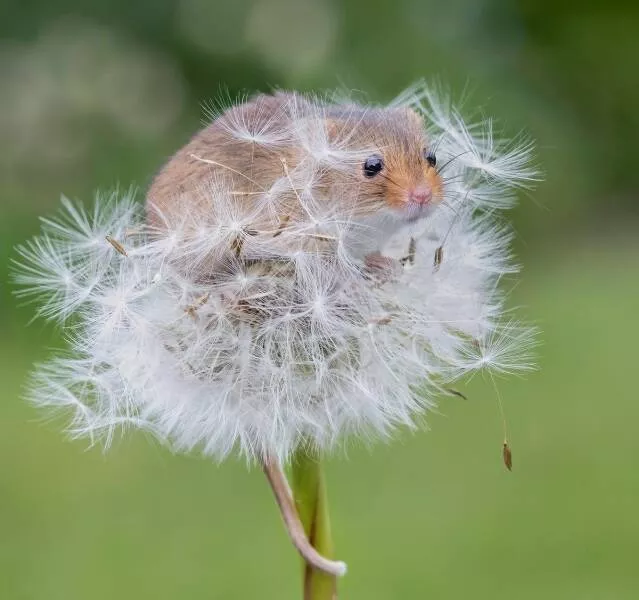 Picdump 646 - #41 
