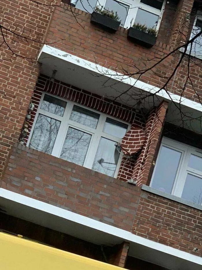 Picdump 646 - #5 